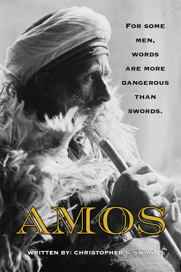 The cover of the novel AMOS.